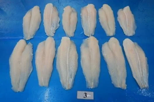 Wholesale Fish fillet directly from manufacturer with Premium Frozen Pangasius/ swai/basa Fillets