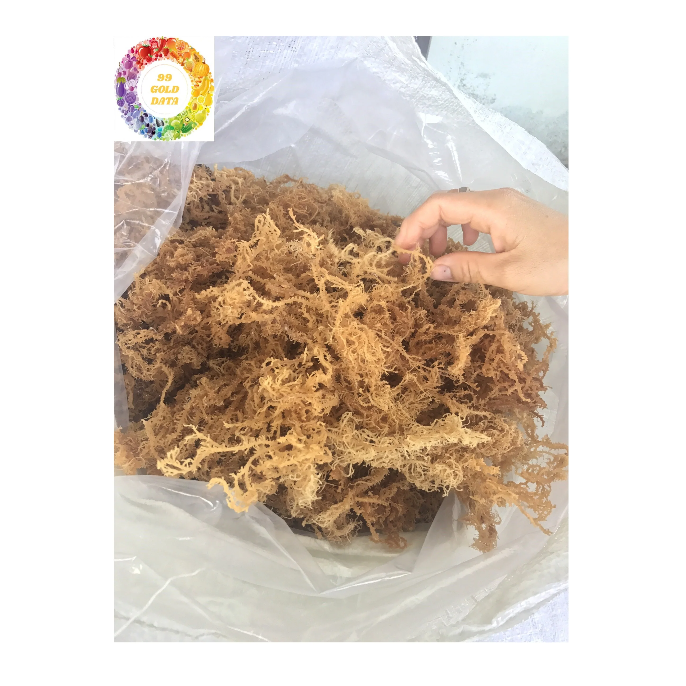 Полезная морская смесь/Eucheuma Cottonii для изготовления геля и десерта из