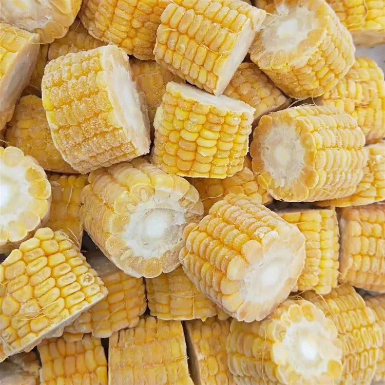Cheap Price Kernels Frozen Sweet Corn Kernel Nature Product FROZEN SWEET CORN Fryst A Grade Frozen Corn Cob and Whole Maize