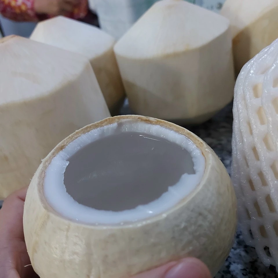 Высококачественный свежий кокос с картонной упаковкой помогает улучшить вашу кожу экспорт из Вьетнама