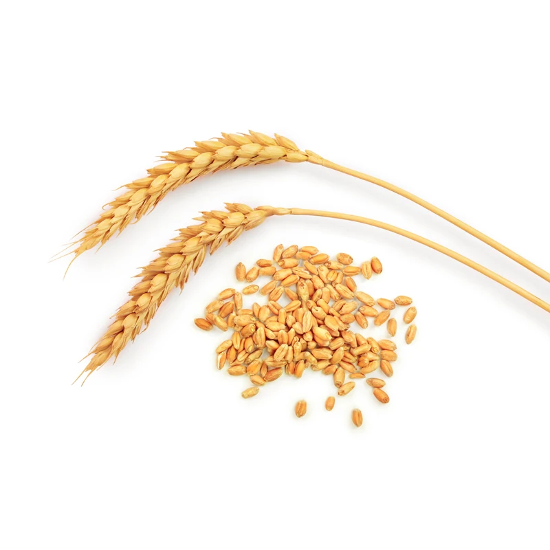 
Natural Rye, from the manufacturer 5000 kg 