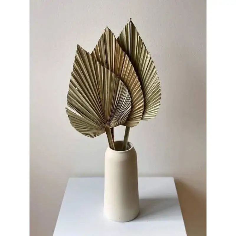 Красота декор с сушеной ладонью Высокое качество Вьетнам 99 Золотой данные