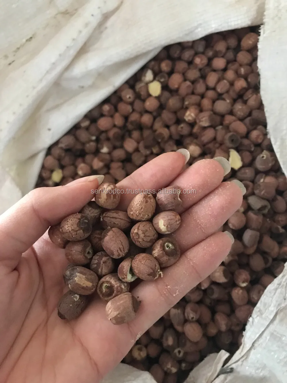DRIED LOTUS SEEDS  FROM VIETNAM HIGH QUALITY (WHITE AND BLACK LOTUS SEEDS)  whatsapp +84934449569