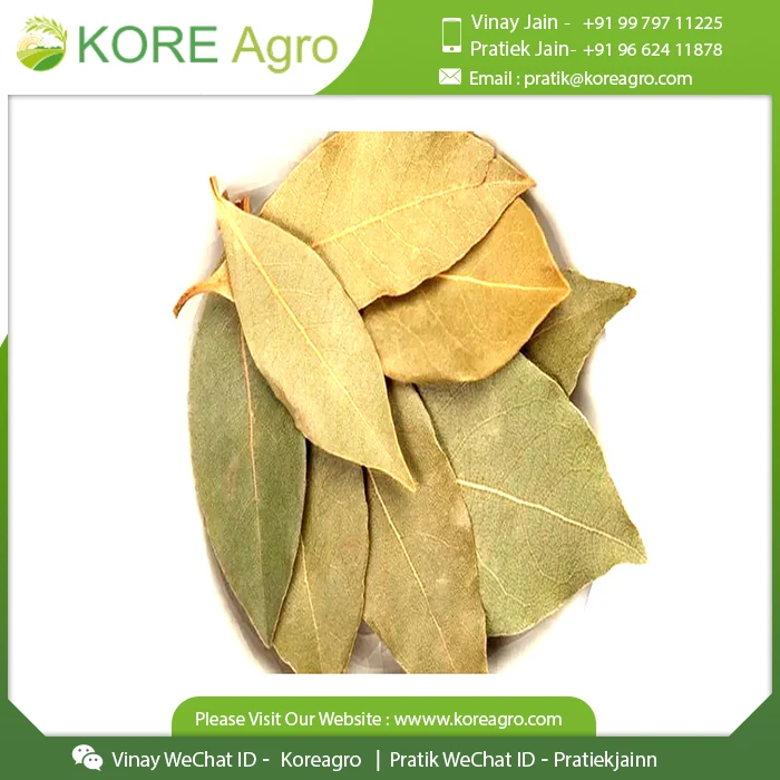 Most Selling Bay Leaf 100% Natural Dried Food Flavoring Spice And Cooking Herb & Mix Masala Supplier From India