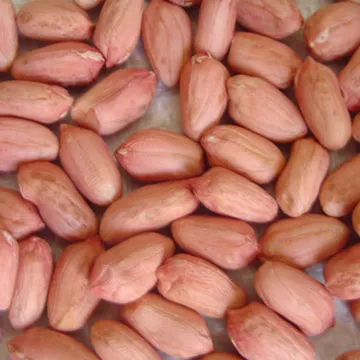 Raw Peanuts, peanut, Roasted, Raw Ground nuts