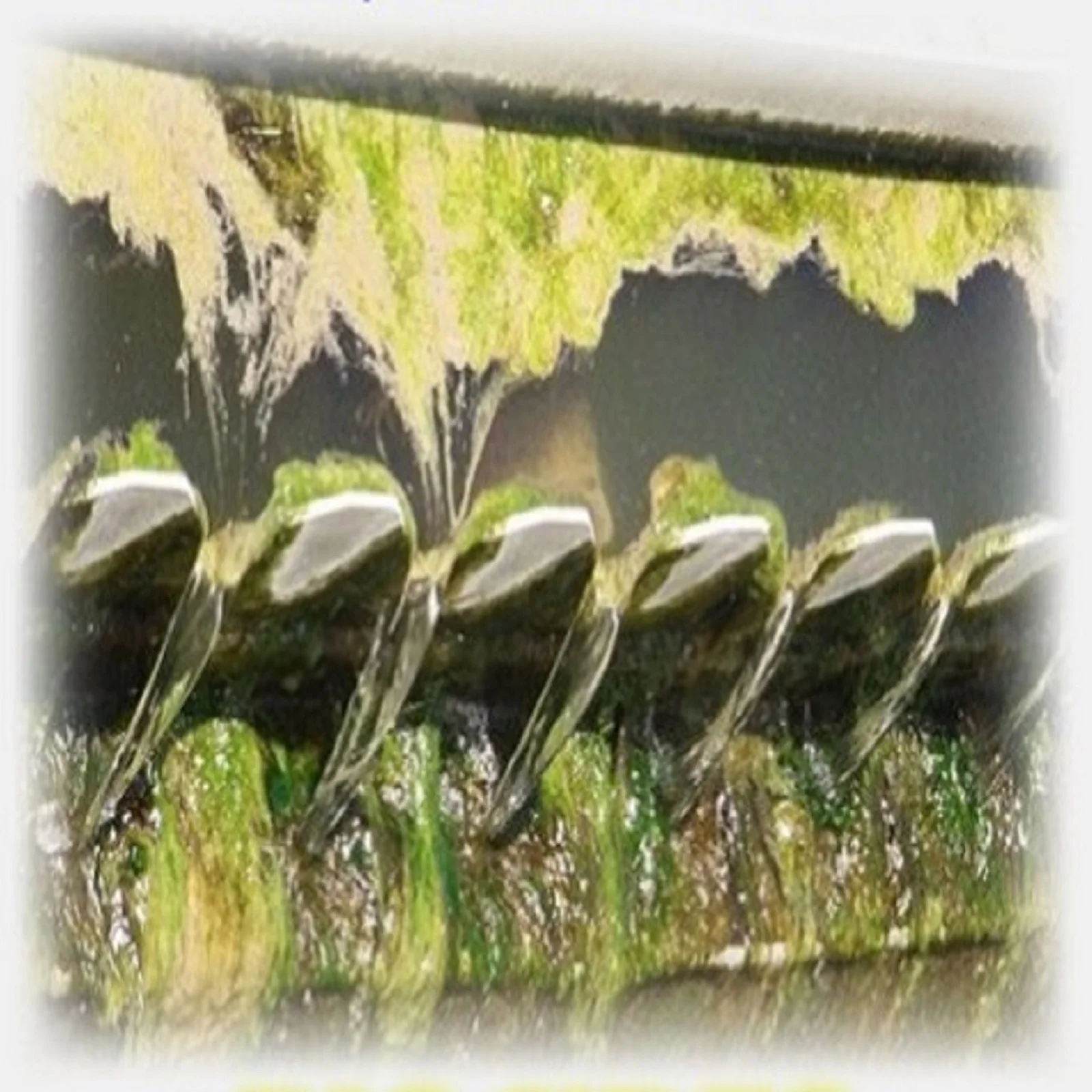 Watreat Cooling Water Biocides Water Testing Chemical Carbamate Based Biocides For Industrial Use - WTB201