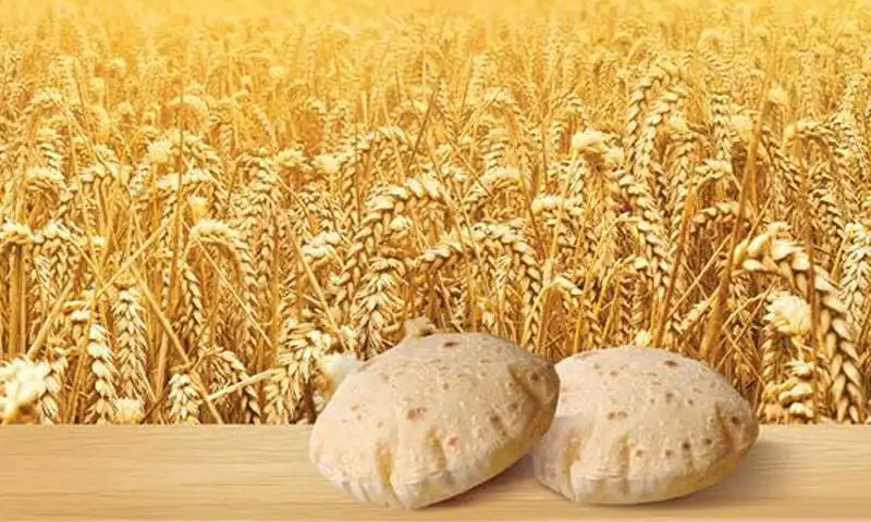 Разницы из твердой пшеницы и