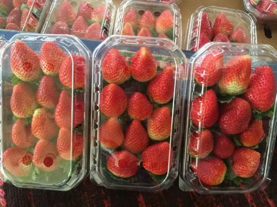 Оптовая продажа хит продаж Вкусная