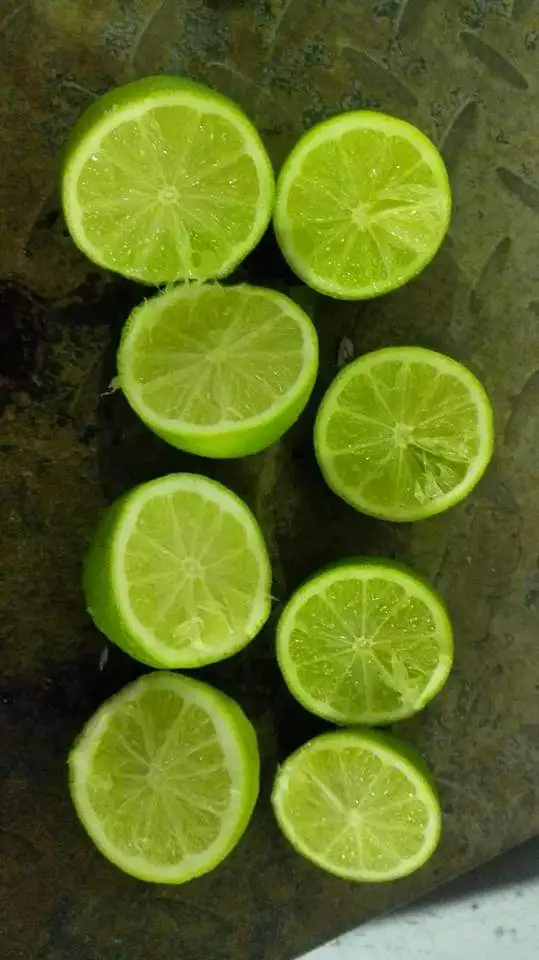 High Quality Fresh persian Lime for sale