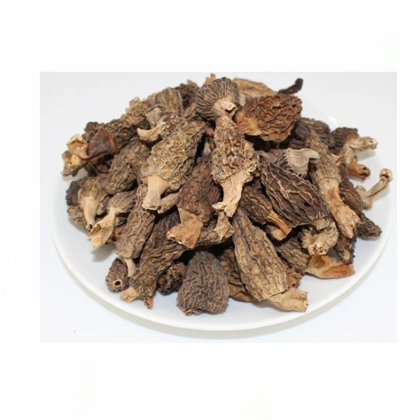 Cheap Price Morel Mushrooms Flower Mushrooms for Sale