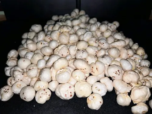 Best Quality Indian organic Flavoured Makhana fox nut lotus seeds Bulk Box packing Makhana Dried Fruit.