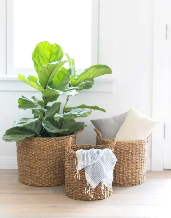 100% Natural Wicker Woven Rattan Basket Made in Vietnam With Best Quality / Jolene +84 336089155