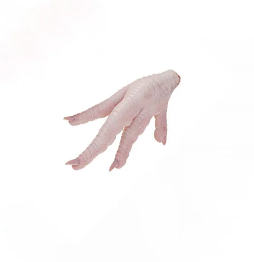 Processed and Unprocessed Frozen Chicken Paws - Brazil Grade A