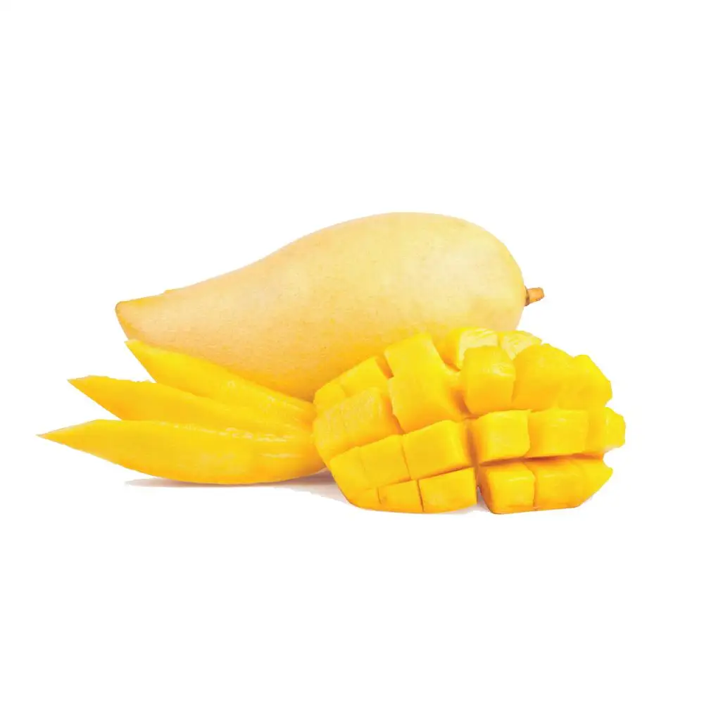 
High quality fruit mango importers at good price for sale 