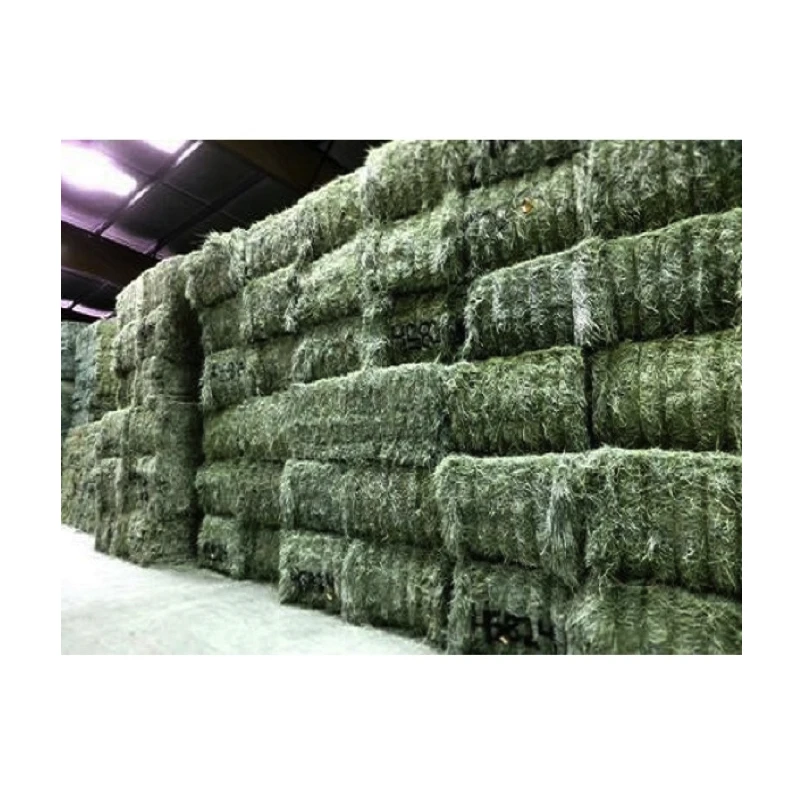 Fresh / Dry Timothy Hay And Alfalfa Hay For Sale