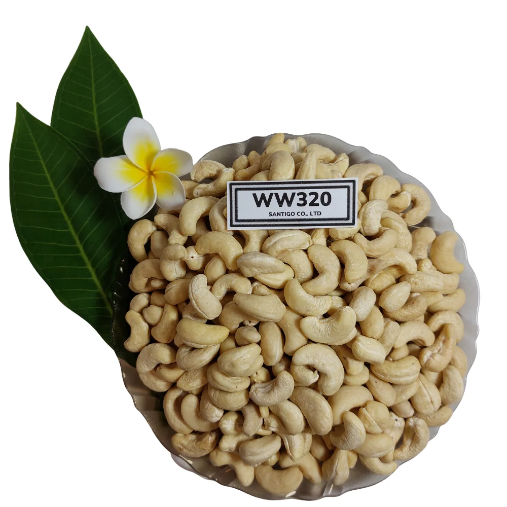 Hot Sale  2022 Cashew Nuts Original Kaju Badam Snack Raw Cashew Nuts