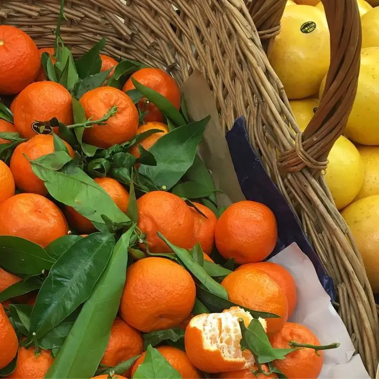 Wholesale Italian Fresh Oranges Fresh Fruit Navel Orange