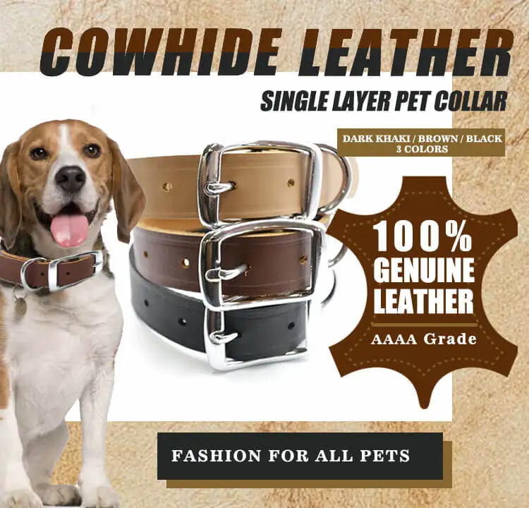 Chentong Full Grain Leather Layer Pet Collar