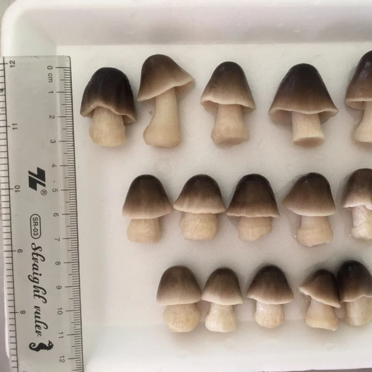 Замороженный или соленый рисовый соломенный гриб +