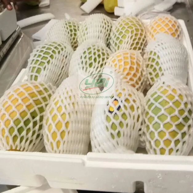 Экспортеры манго в Тамилнаду/Индия