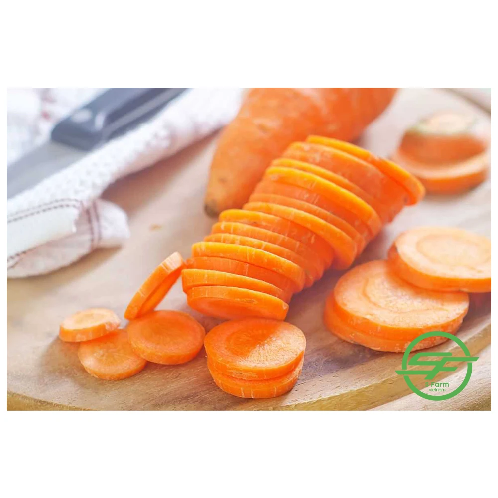 Wholesale Customized Carrot Fresh VIETNAM CARROT 100% Natural Healthy Carton Orange Organic Cultivation
