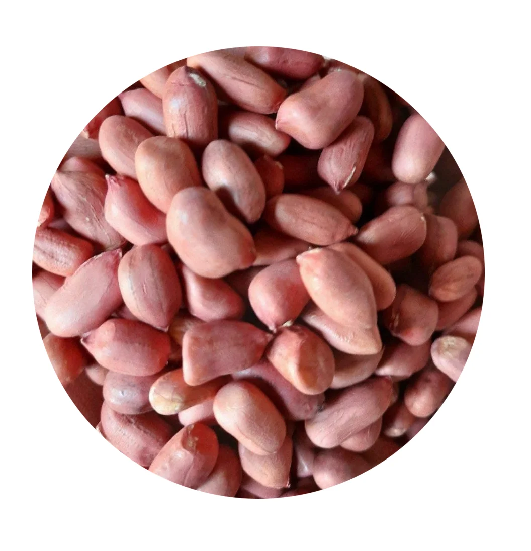 Урожай 2021 октября, высокое качество из Узбекистана, Влага 8%, максимальный объем сырья 25 кг, Сушеные Орехи в виде арахисовых ядер