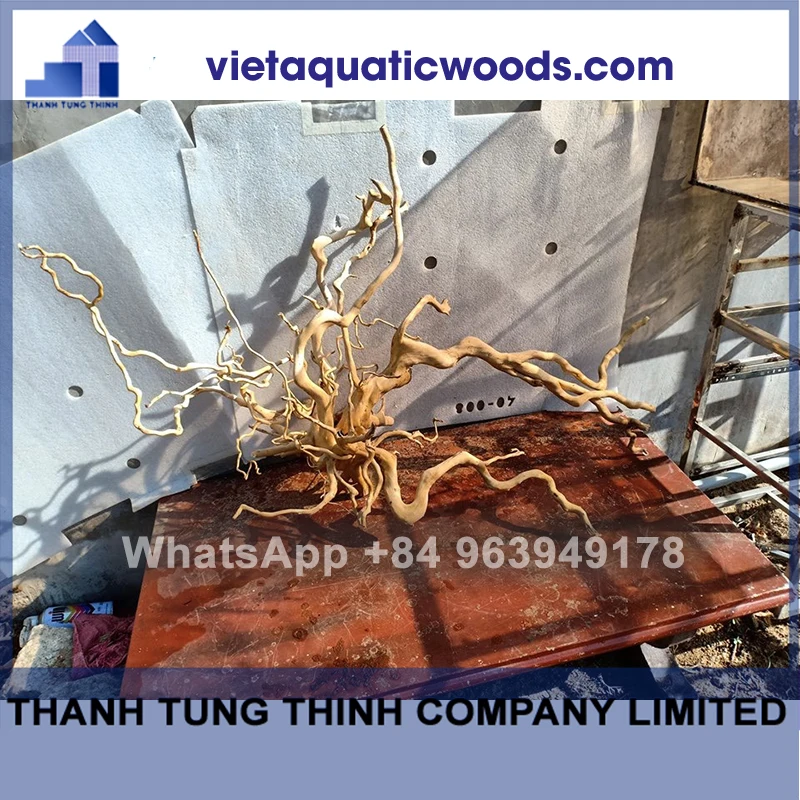 Лидер 2024 натуральные коряги для аквариума аксессуары WhatsApp + 84 963 949 178