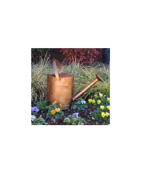 Лидер продаж Овальный оцинкованный баллон для воды 20 литров винтажный металлический садовый Скандинавский дизайн продажи продуманного и роскошного использования