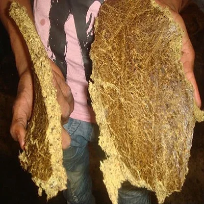 
Cotton Seed Oil Cake 