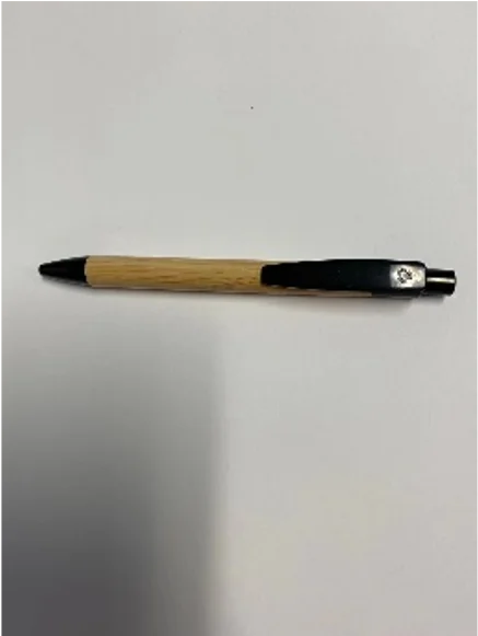 Bamboo Pen