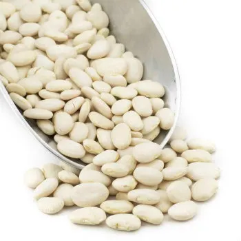 
white kidney beans / butter bean / white bean 