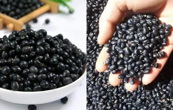 Viet Nam Manufacturer High Quality Black Bean 500gr With Factory Price From Viet Nam