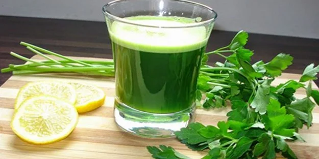 
High Quality Parsley Leaves 