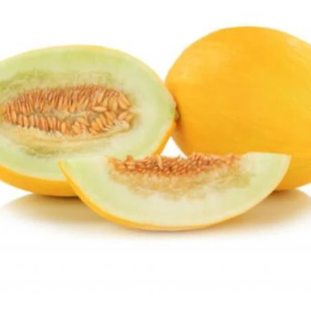 Melon Premium Fresh Melon Turkey Fast Shipping