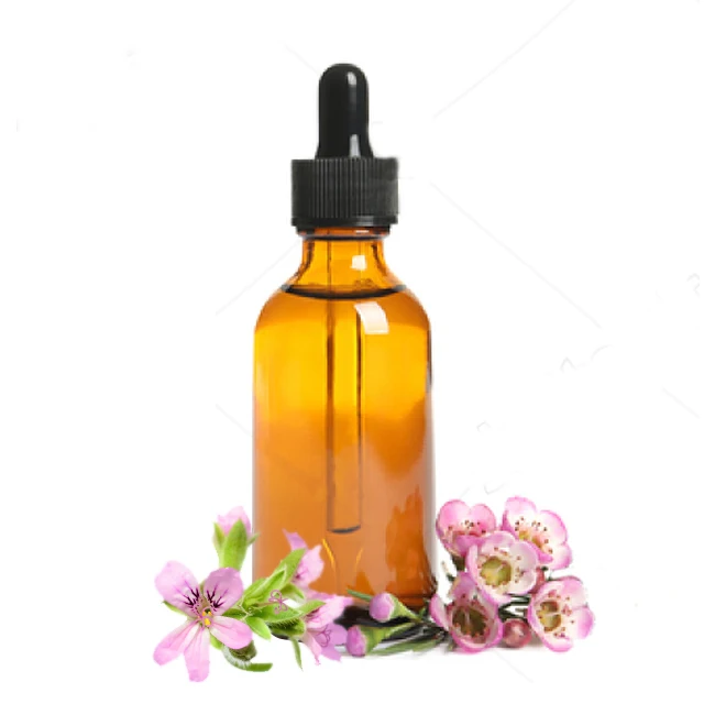 Bulk supplier of Therapeutic Grade Rose Geranium Oil Diffuser and Skin Care steam distilled geranium oil 100% pure essential oil