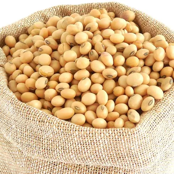 
Best Quality Soybean/Soya Bean, Soybean Seeds 