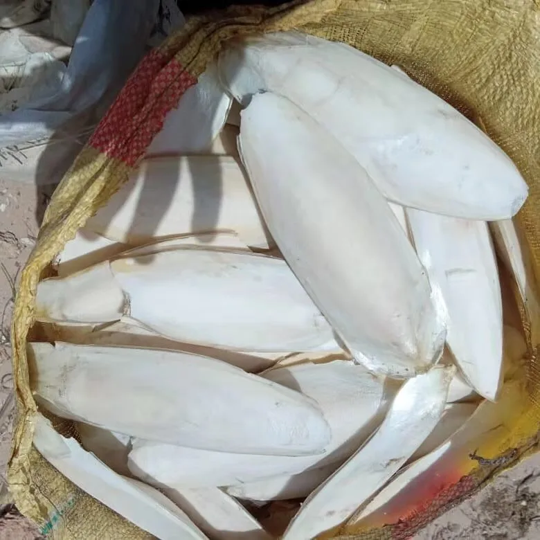 100% органический сушеный порошок костей морской слепки из Вьетнама морепродукты Самая низкая цена высокое качество кости