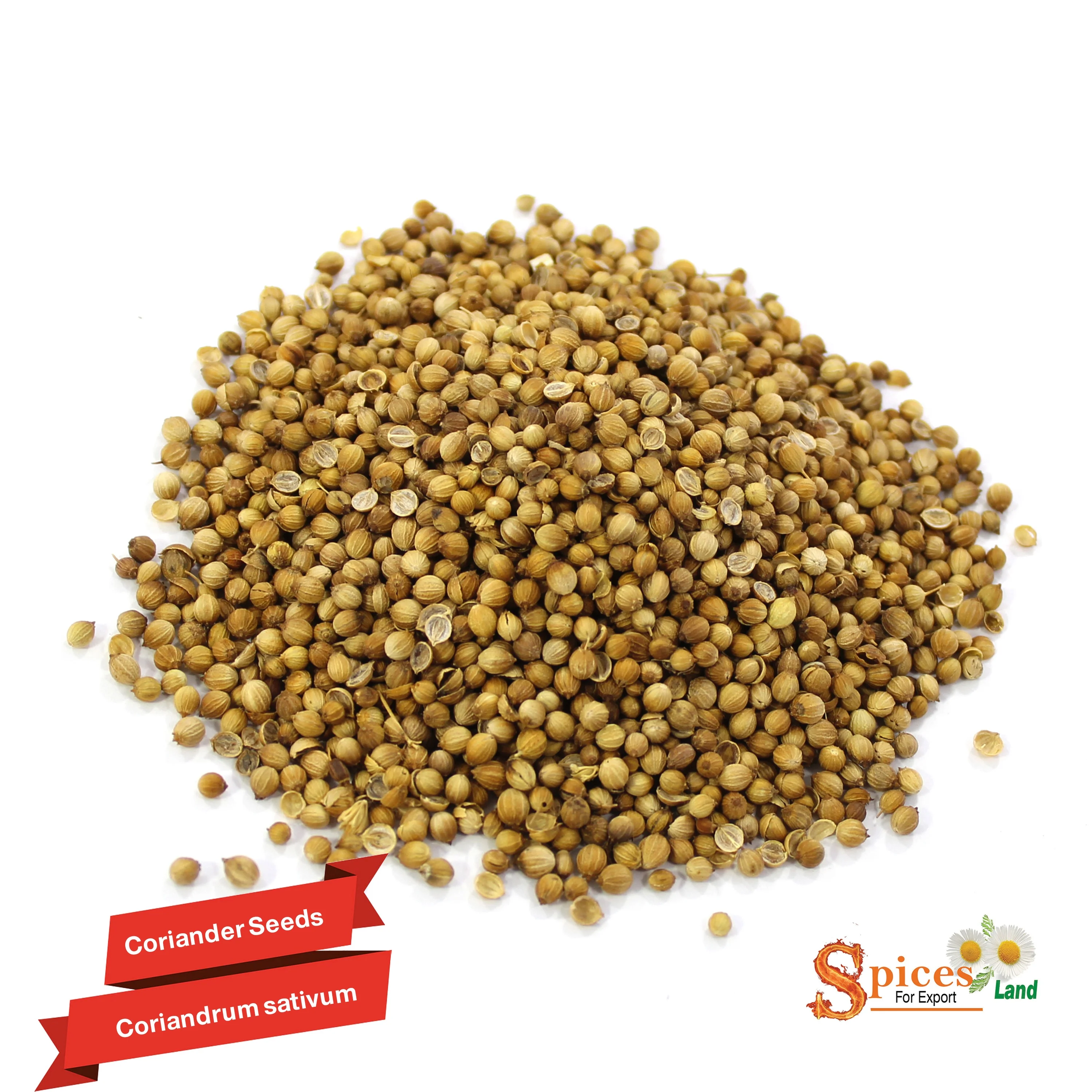 
(SPICES LAND for EXPORT) Coriander Seed for - BEST QUALITY, BEST PRICES AD Single Herbs & Spices Dried Raw Granule BRC ISO 