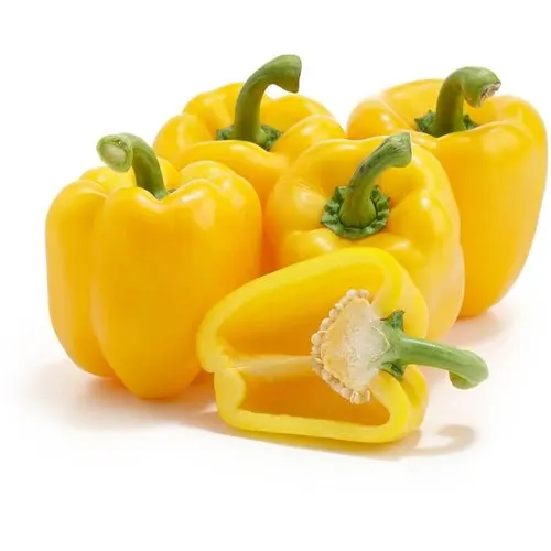Yellow Capsicum- High quality capsicum