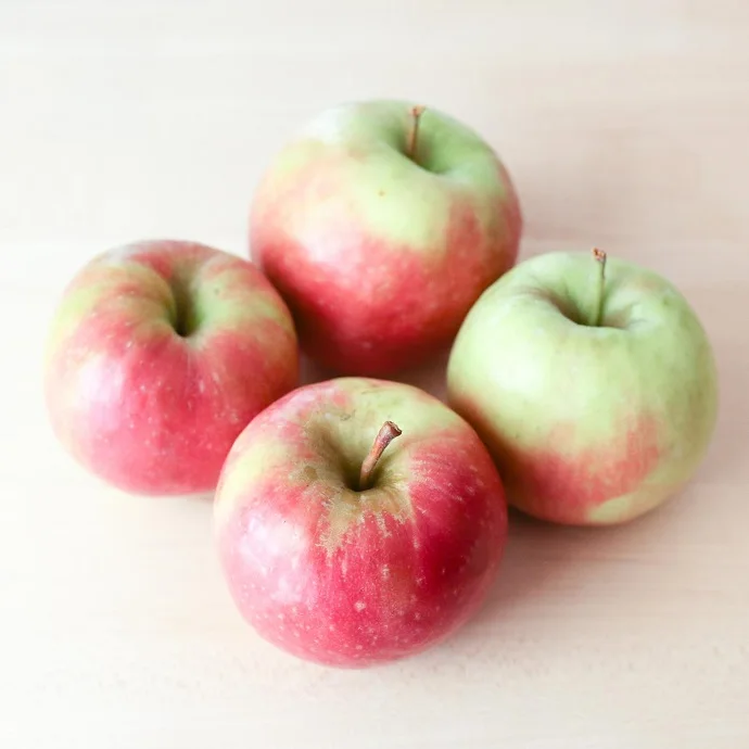 US Grown Fruit Green APPLE GRANNY SMITH Robinson