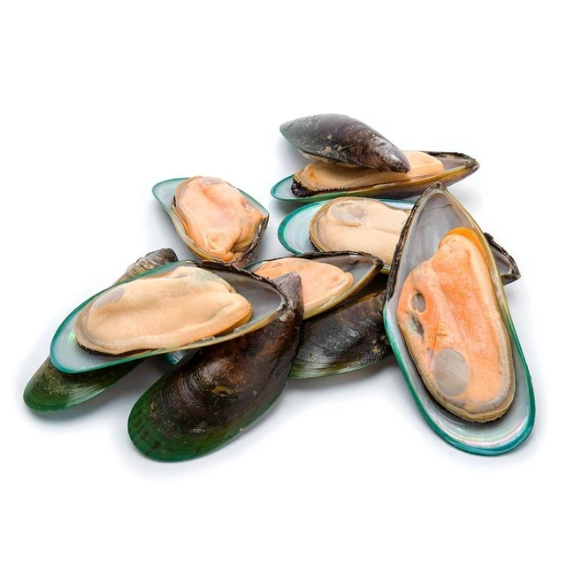 
Best Export Quality Frozen Short Necked Clam 