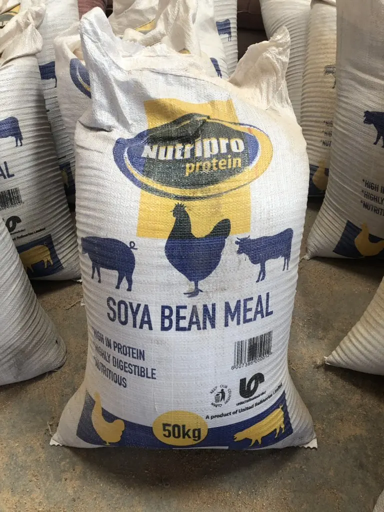 High Quality Export Quality Soya Bean Meal ( Wholesale Price )