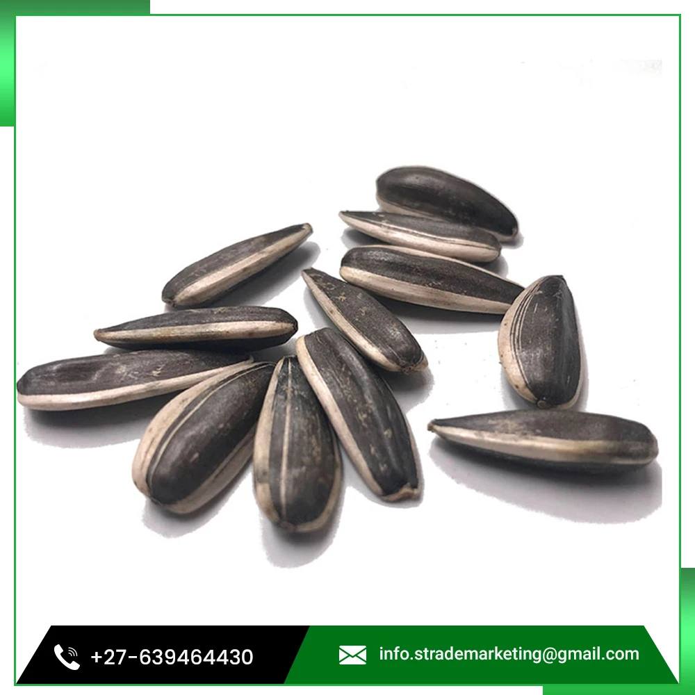 
South African Peeled Sunflower Seeds for Sale 