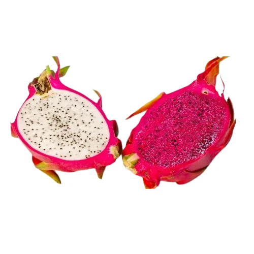 Лучший высококачественный Свежий фрукт дракона из Вьетнама специализируется на продаже и экспорте на разумные рынки