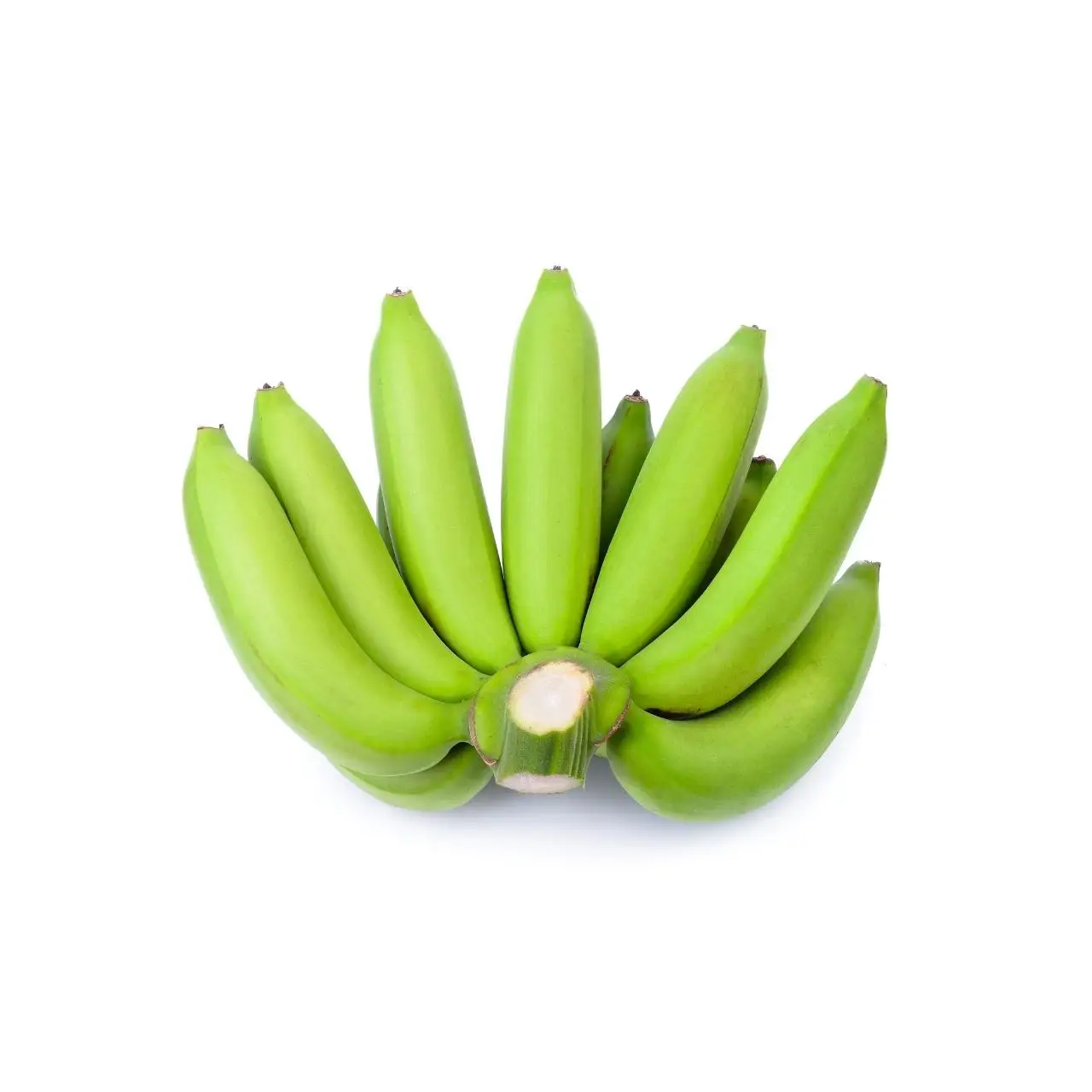 Best selling Premium Fresh Cavendish Banana