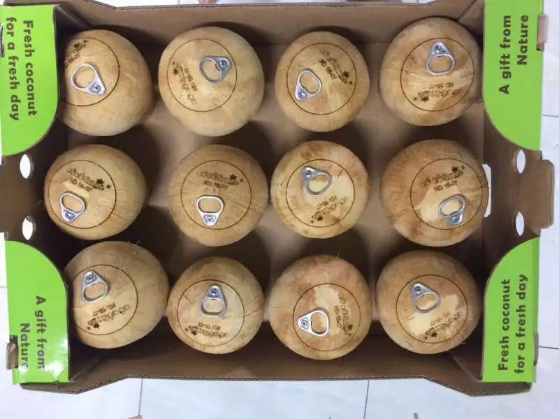 
Easy to use with Newest Ring Lid Fresh Coconut from Vietnam (Hot Product)-Ms Akina +84 902803631 