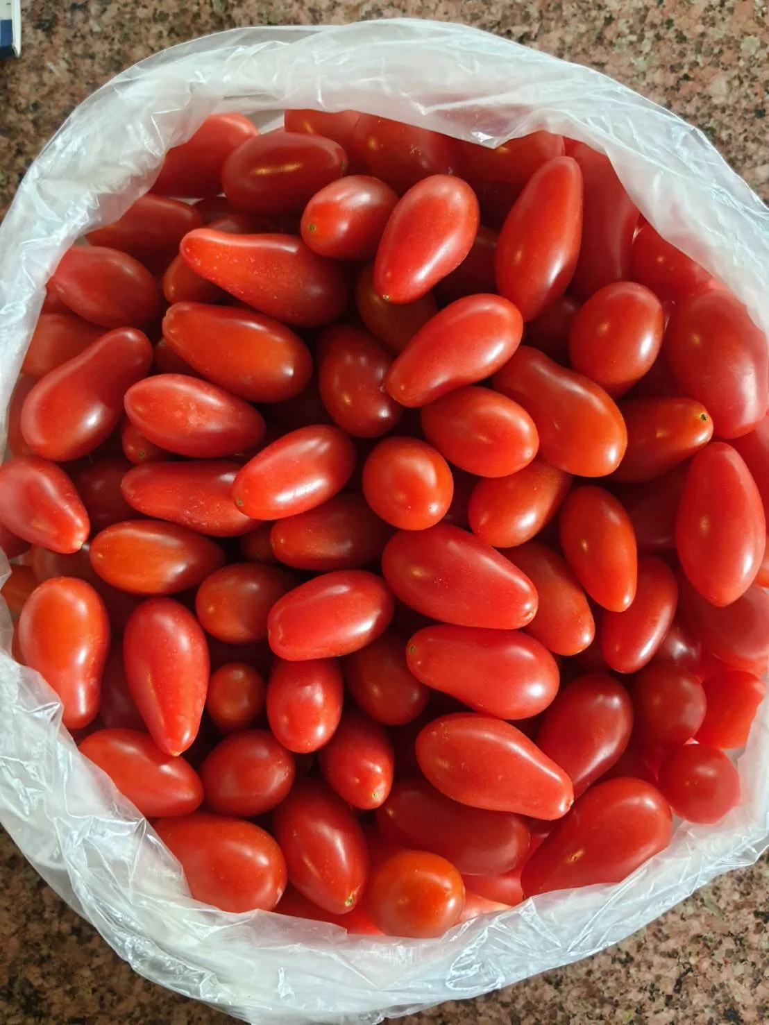 Cherry Tomatoes Roseberry by Thai Fresh Farm