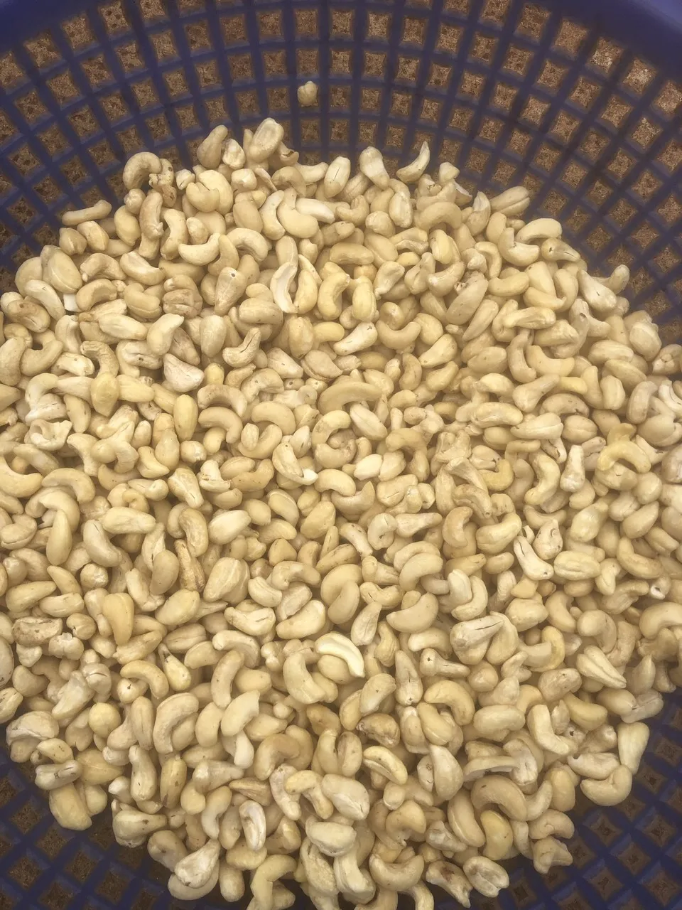 Лучший вьетнамский Кешью (W180 W240 W320 W450) для оптовой продажи/100% натуральный без