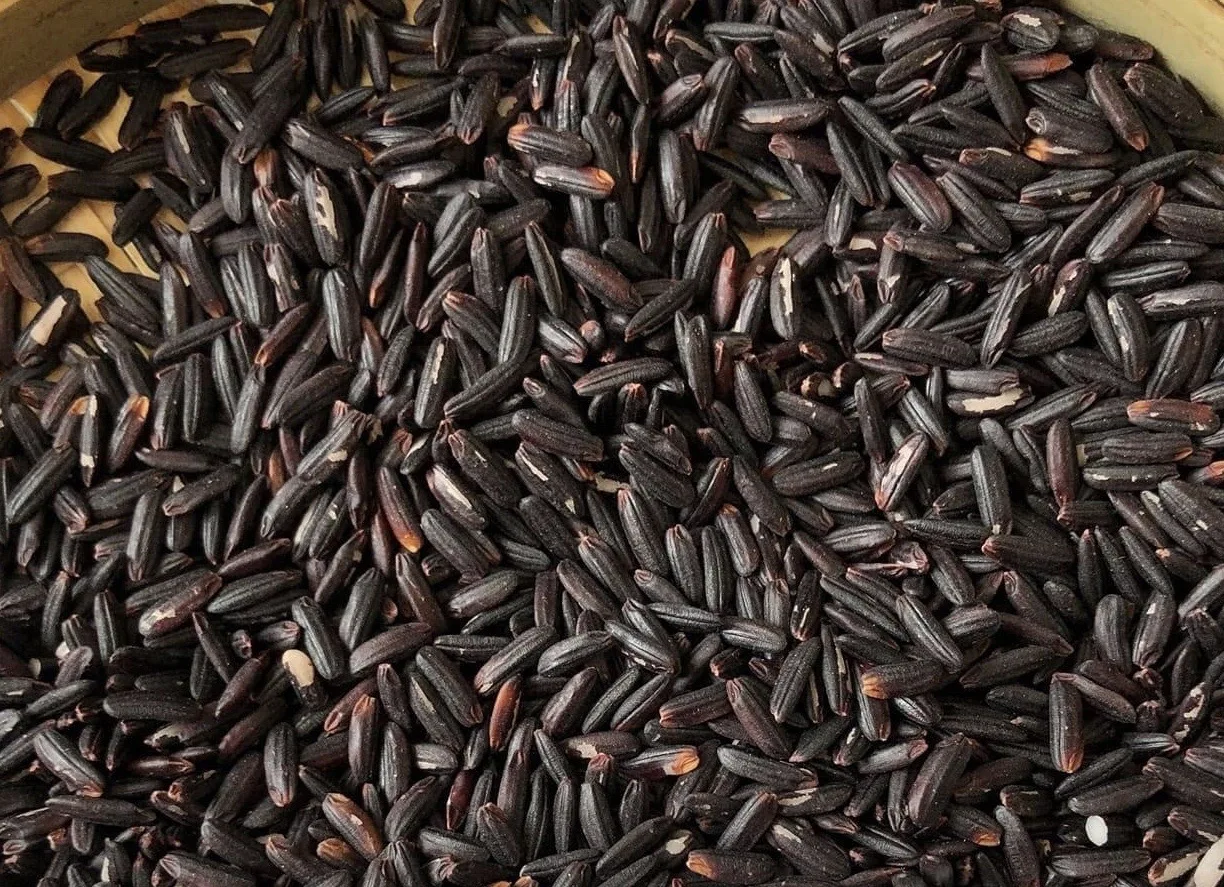 Vietnam Organic Black Rice - Healthy Nutritional food rich vitamin (Mobile/ WA: +84986778999 David)