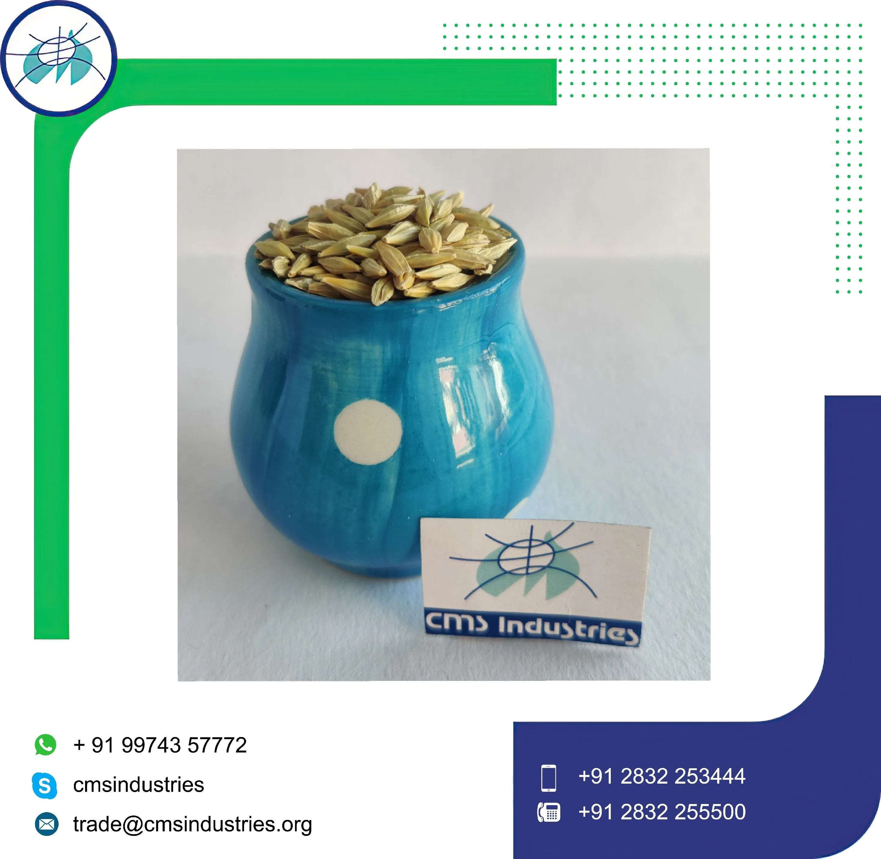 Indian Grown Pure Barley